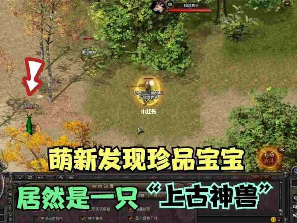 超仿盛大私服网在pk过程中起着决定性的技能